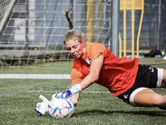 法兰克福发布备战花絮，转会期强势反弹，CBA季后赛任务艰巨，赛程密集仍需轮换的简单介绍